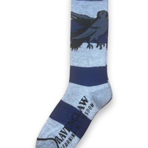 Harry Potter : Ravenclaw