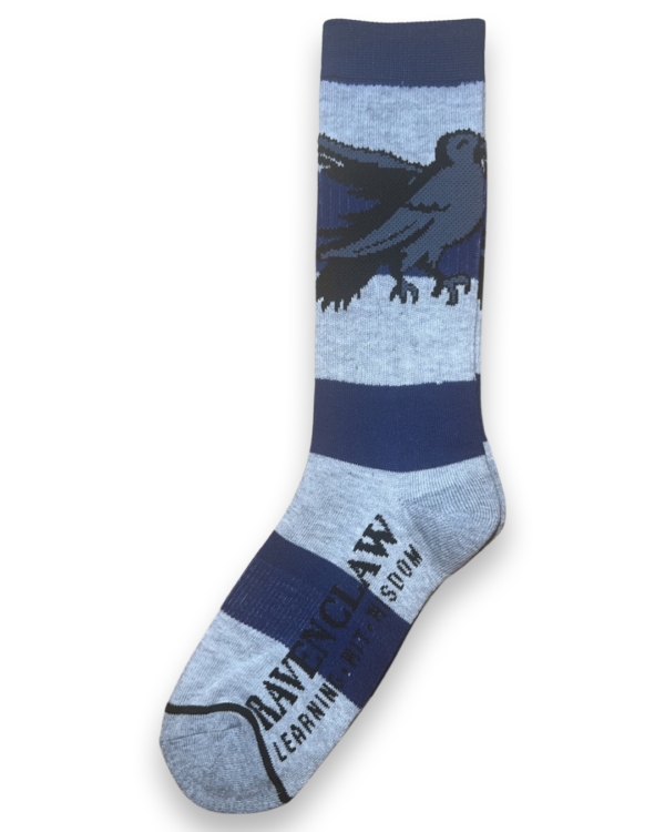 Harry Potter : Ravenclaw