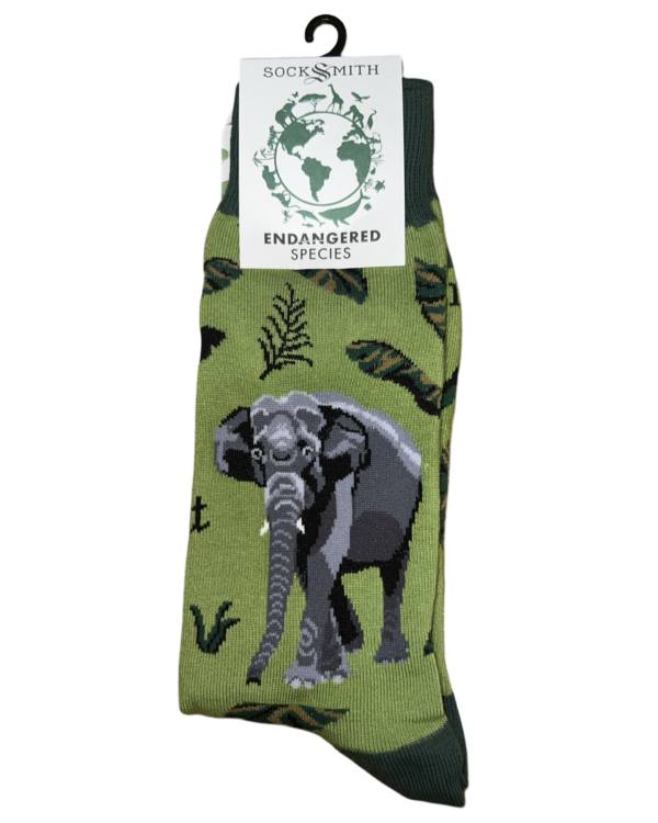 Elephants